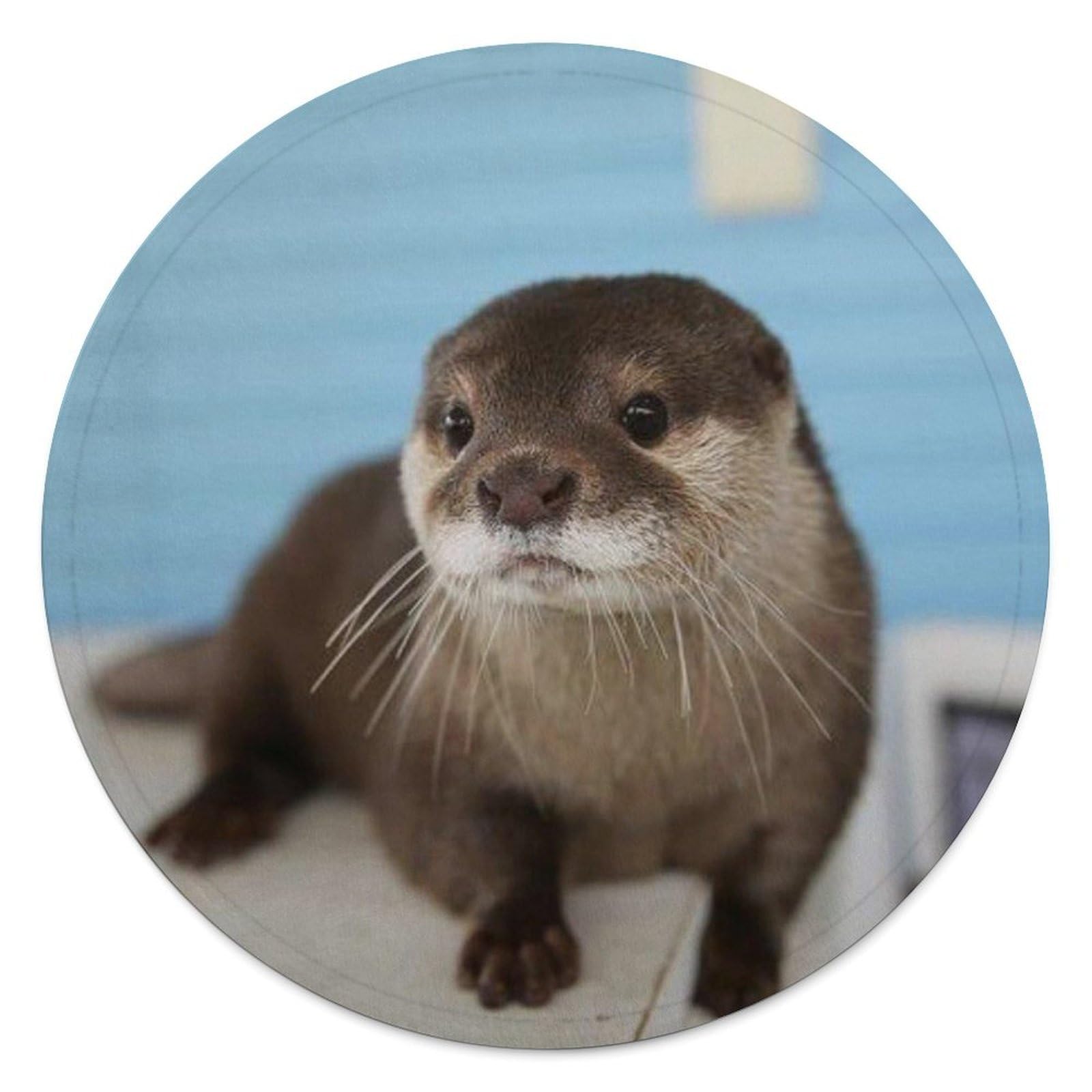 FekiLoot Cute Otter Round Flannel Throw Blanket, 59.1 Inch Diameter Single Sided Printed Fleece Blanket, Multipurpose Foldable Decor Cover for Couch Office Camping Home Furnishing