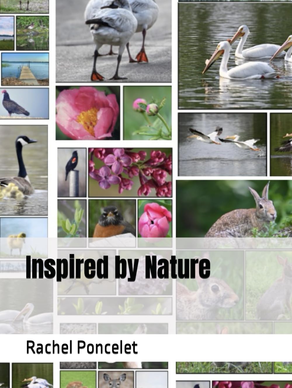 Inspired by Nature poster pour créer un coin de verdure dans la chambre
