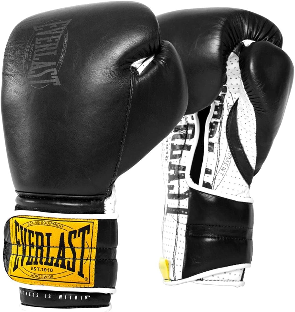 1910 Sparring Gloves (Hook & Loop)