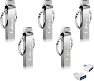 Bliksem Pen Drive 32GB 5PCS USB 2.0 Metal U Disk Enviar Adaptador OTG Type-C Alta Velocidade Impermeável (prata 32gb(5pcs))