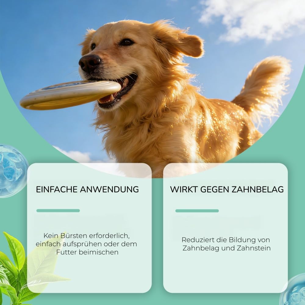 Vitarro Mundspray speziell für Katzen und Hunde, sorgt für natürlichen, frischen Atem, entfernt Zahnbelag, zur täglichen Mundpflege