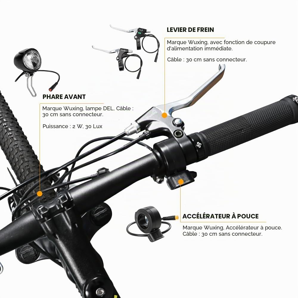 SEASON Ebike Kit de Conversion pour Vélo Électrique 20'' Moteur Brushless de Roue Avant 36V 250W avec LCD Affichage