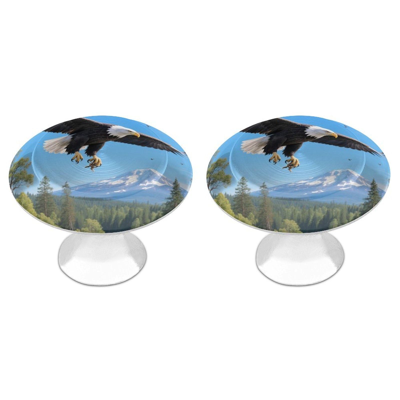 Patriotic Bald Eagle Cabinet Handles 2 Pack Stainless Steel Kitchen Drawer Pulls with Installation Screws Round Dresser Drawer Knobs 1.1 Inch Modern Cabinet Hardware Door Handles