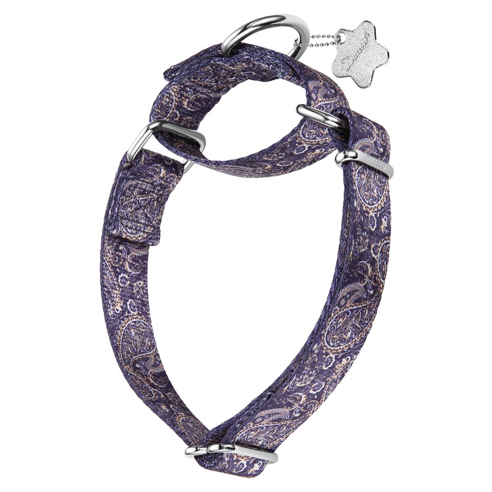 Dazzber Martingale Collar - Dog Collar - New and Fun Pattern, Heavy Duty Training Collar (No Buckle) for Small, Medium and Large Dogs (Paisley Pattern, Large, 1Inch Wide)