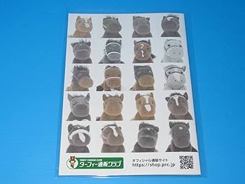 Amazon.co.jp: アイドルホース クロニクル1 歴代ぬいぐるみカタログ