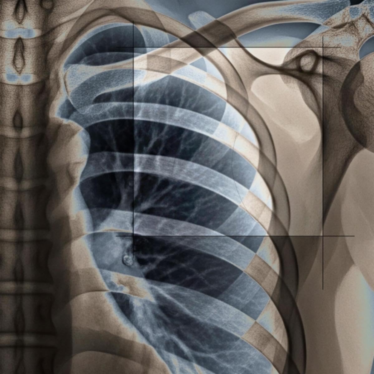 Il Silenzio Nelle Mani