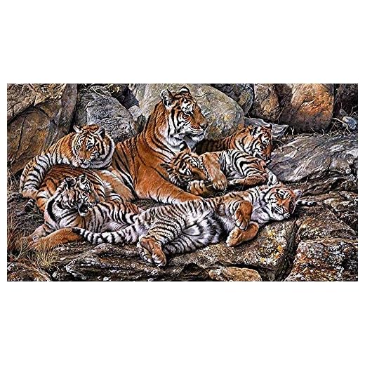 LSDEERE Måla efter nummer målning gör-det-själv digitalt kit kanvas konstverk målningar gåvor dekorationer 40 x 50 cm) ramlösa stenar konst pojkar tiger