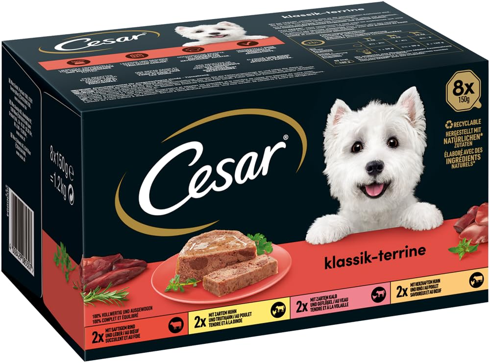 CESAR® Schale Multipack 24 Mega Pack Klassik-Terrine 4 Varietäten 24 X