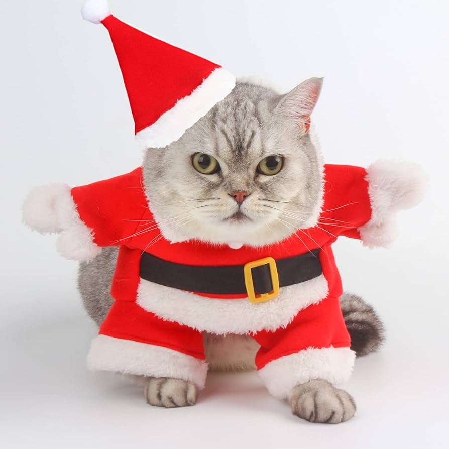 DERAYEE 猫の服 犬服 小型犬 帽子 防寒 保温 秋冬服 L Amazon | DERAYEE クリスマス 猫の服 犬服 小型犬 帽子 防寒