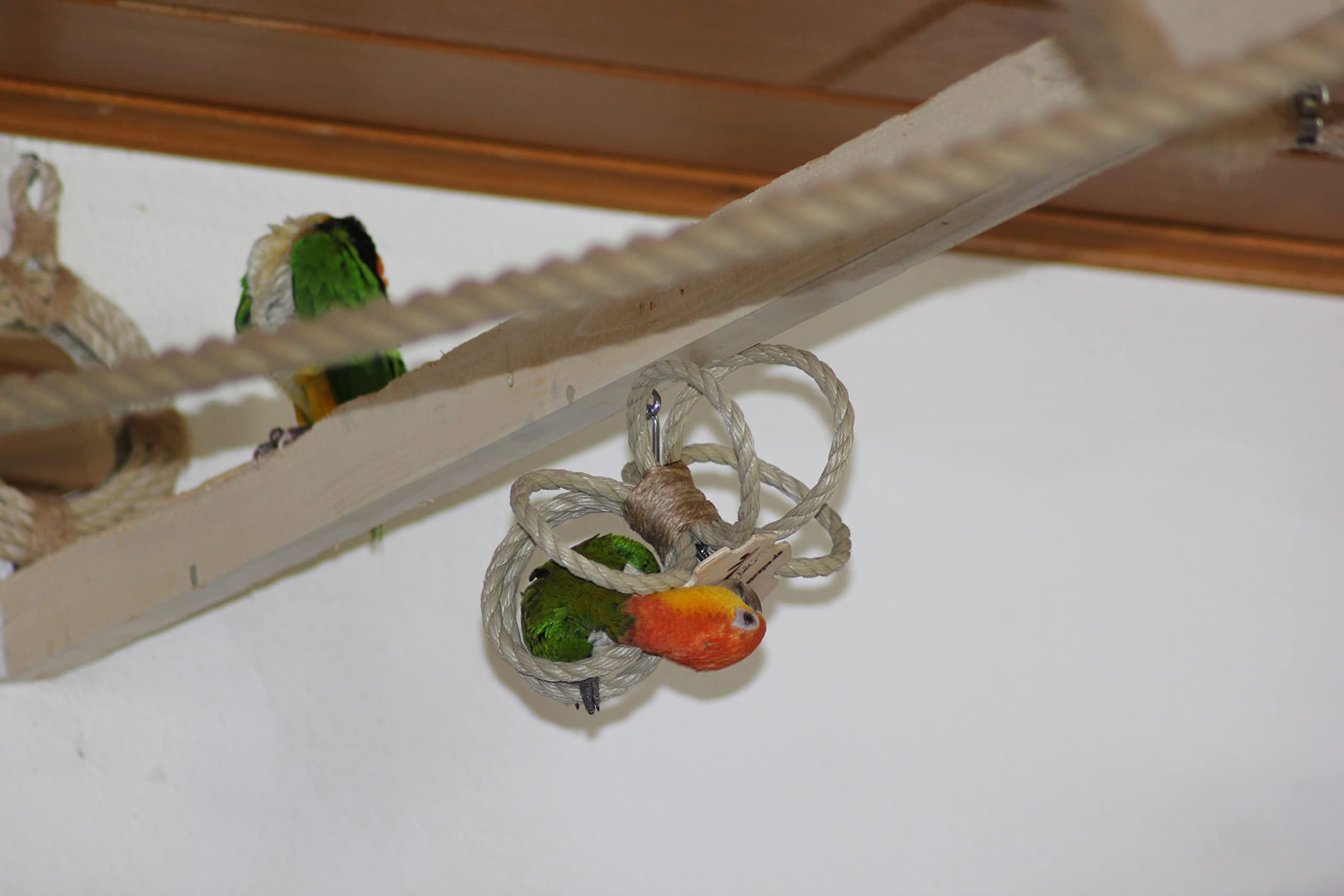 Uccello Gioco Set Cordoncino Rotondo Specchio Uccello Arrampicata Corona Legno Iuta Natura Pappagallo Caique Soffitto Voliera Muro Giocattolo Grande