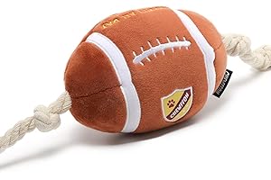 Fall Foliage Fiesta Dog Football