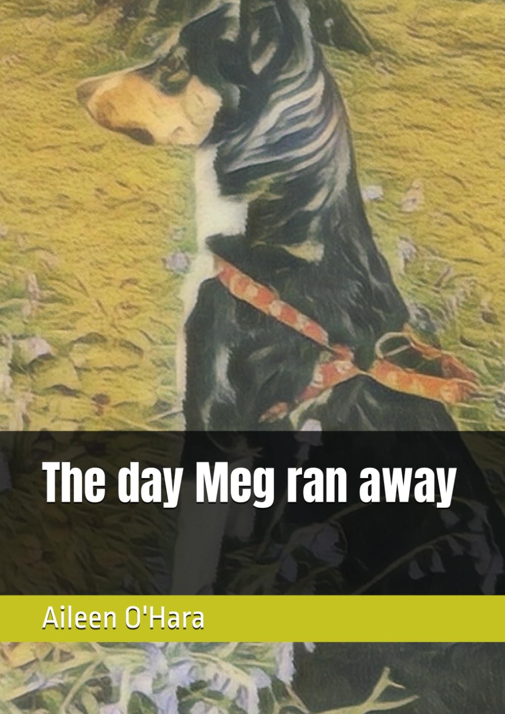 The day Meg ran away