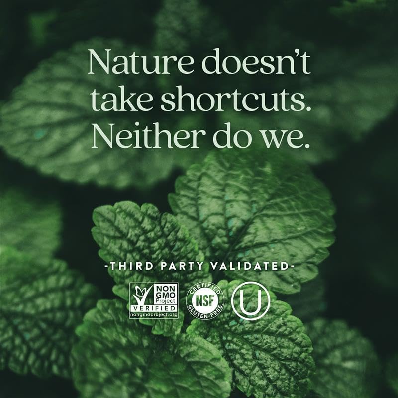 Miniatura 5 de New Chapter Vitaminas multivitamínico prenatal con metilfolato + colina para mamá saludable bebé, uno diario, 60 unidades