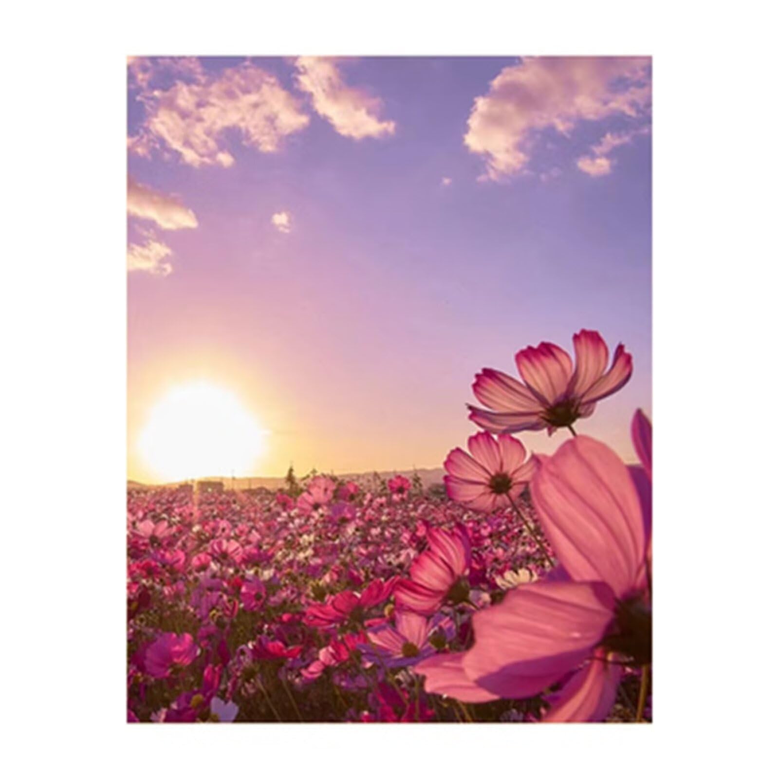 Peinture Diamant Adulte Sunset Flower grand format 60x90cm avec strass 5D brillants
