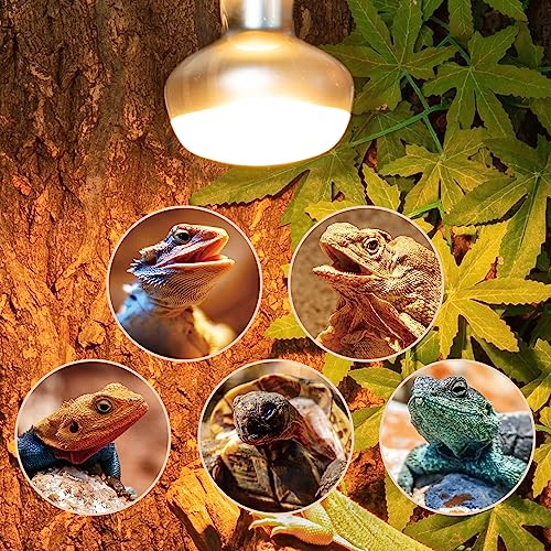 Image of REPTI ZOO 2 Pack Heat Lamp 150W, Intense Basking Spot Simulated Natural Sunlight Heating Lamp Bulb, Heat Emitter UVA Heat Lamp Bulb for Reptile Chickens Pet Brooder
