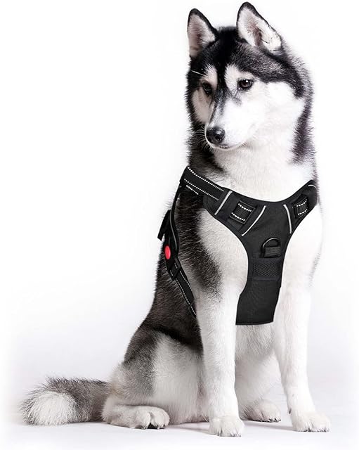 Ranwan Dog Harness Adjustable Soft Padded Pet Vest with 2 leash clip Easy Control Handle for Training or walking Jogging No Pull Harness Reflective Breathable lightweight No-Choke Medium dog