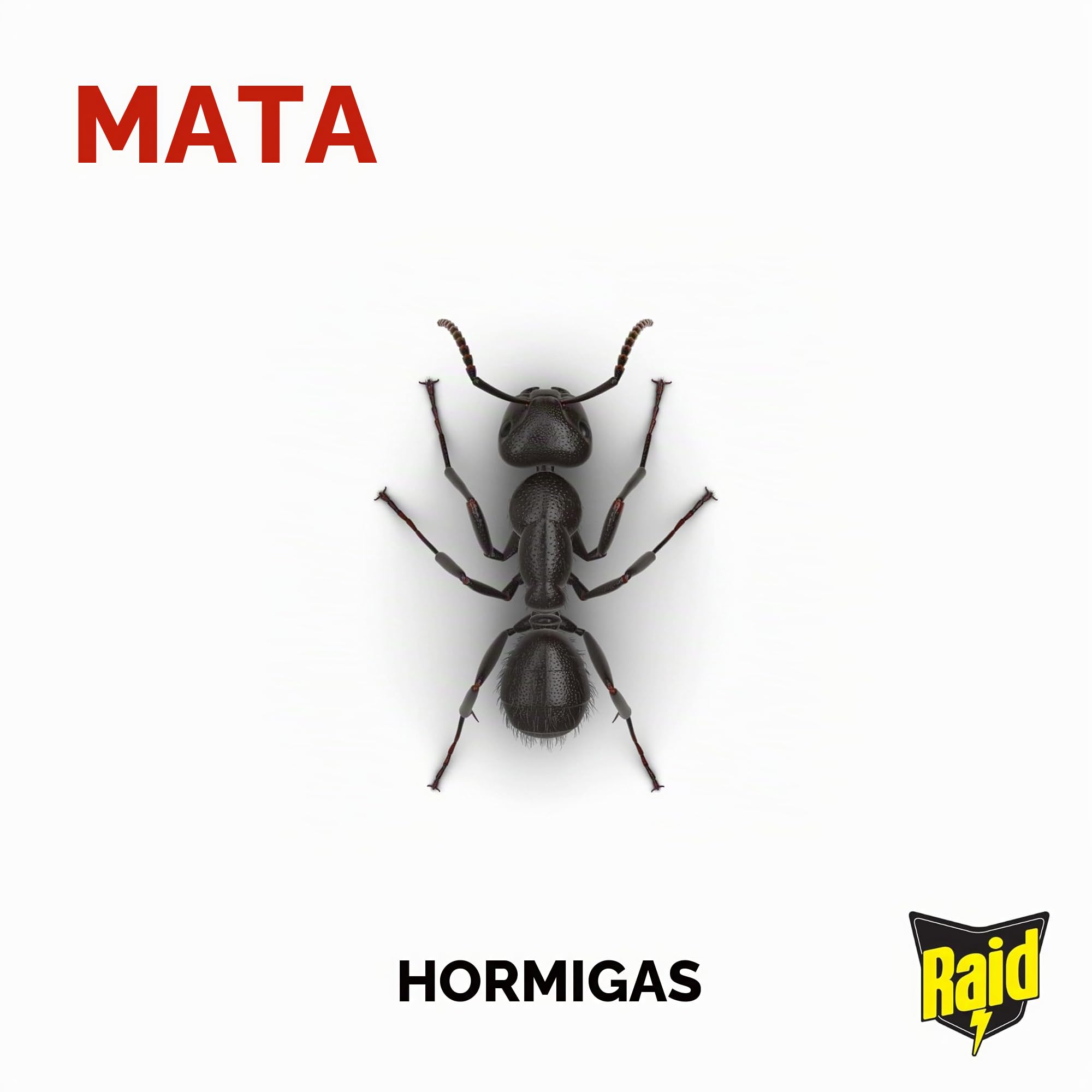 Raid Estación de cebo para hormigas, mata hormigas de larga duración para uso en interiores y exteriores, destruye nidos, paquete de 12