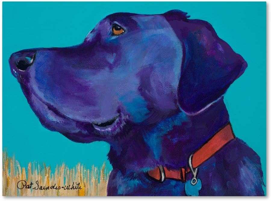 Caige x large by Pat Saunders-White, 18x24-Inch Canvas Wall Art