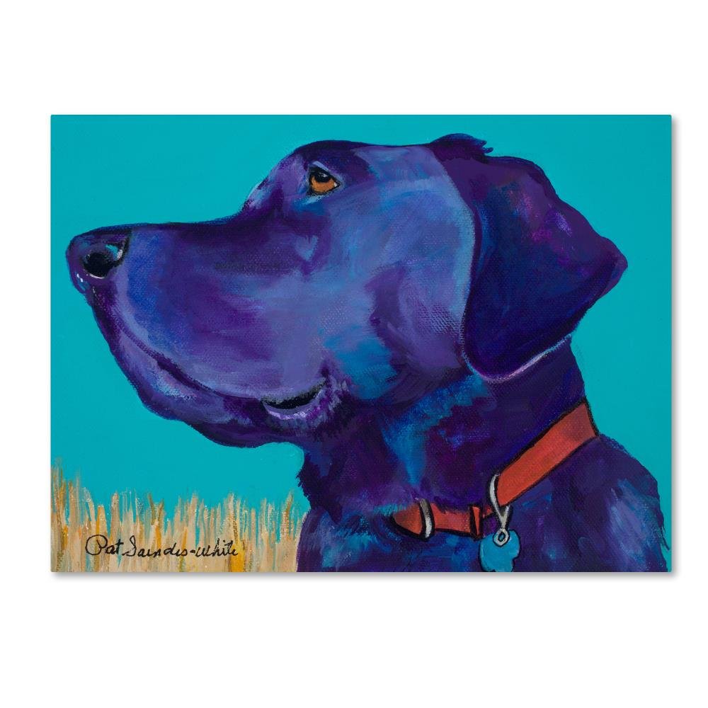 Caige x large by Pat Saunders-White, 18x24-Inch Canvas Wall Art