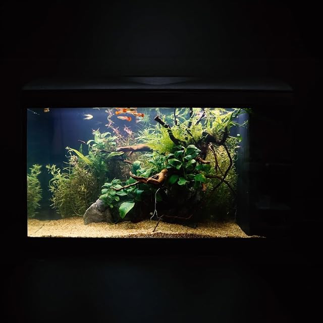 Foto 5 de 5 de Amtra Wave Basic 80 Led - Acuario Completo De 95 Litros, Iluminación De 8 Watios, Filtro Interno…