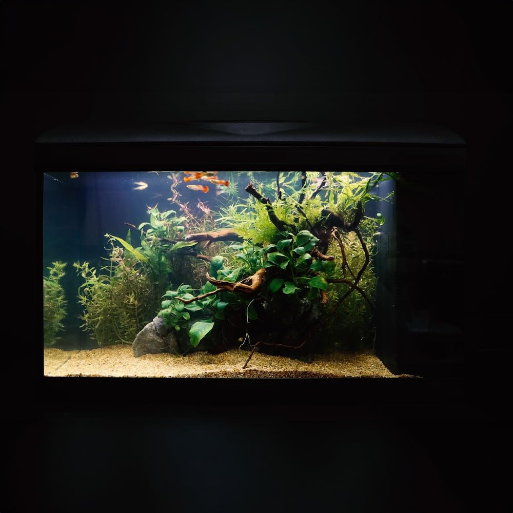 Acquario Amtra Basic 80 LED 85 Litri - Con Filtro, Illuminazione LED, Vetro 6mm, 80x32x47 Cm - Foto 2