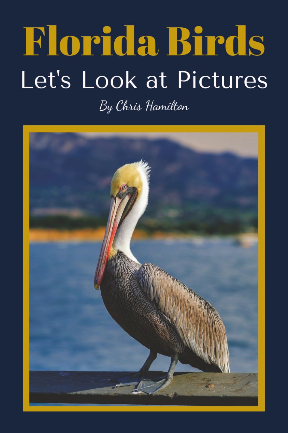 Florida Birds: Let's Look at Pictures