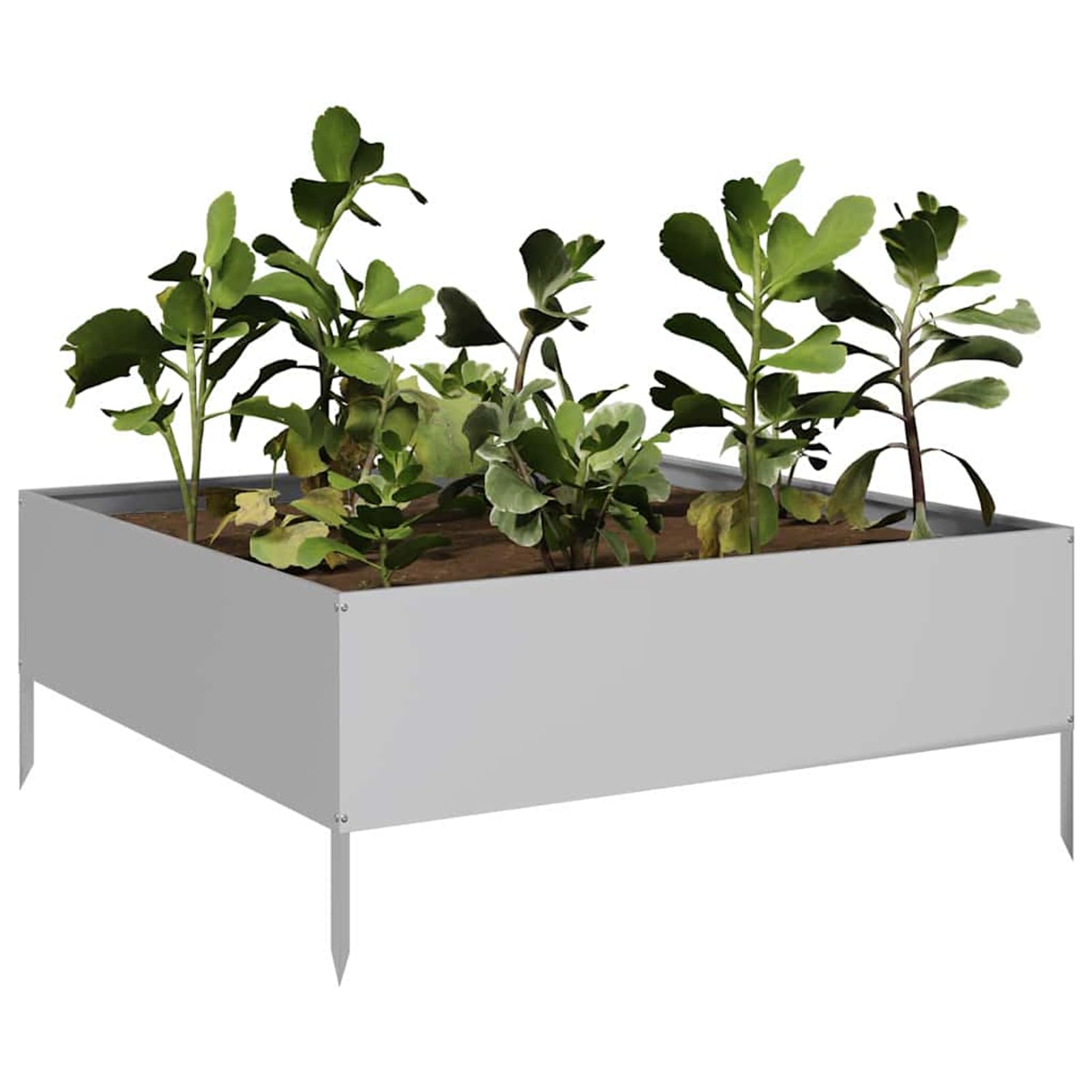 Gecheer Fioriera Rialzata, per orto e Giardino 100x100x25 cm in Acciaio zincato, con Fondo Aperto e Struttura Stabile for Principianti e Appassionati di Giardinaggio