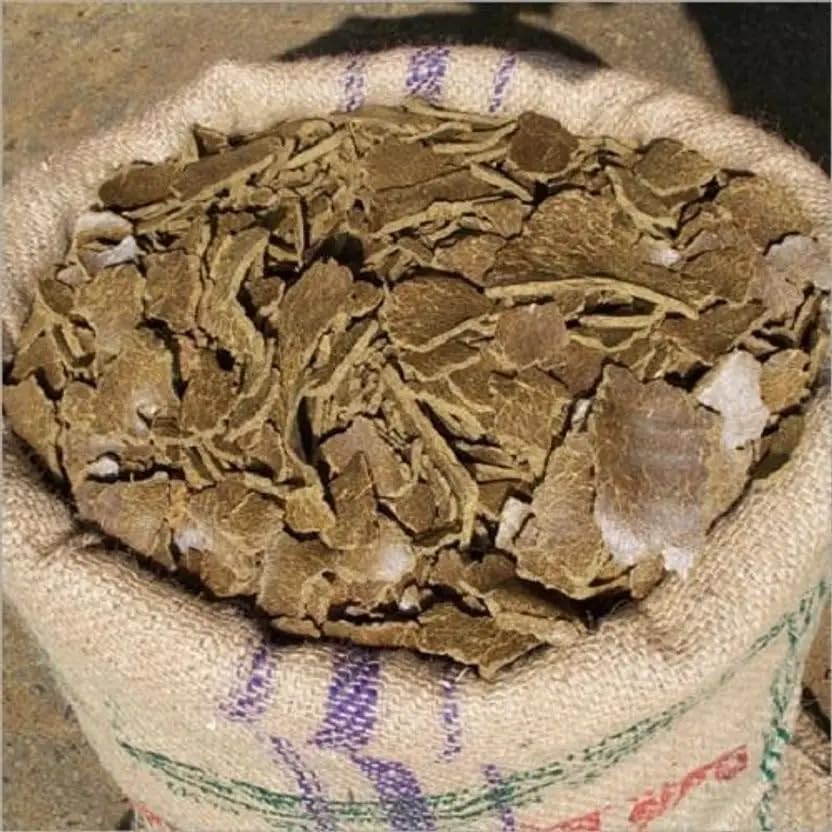Image of DAS Mustard Oil Cake (Sarso Khali) - 100% Organic Fertilizer & Natural Plant Growth Booster | Cold-Pressed Mustard Cake for Gardening & Farming (0.5kg)
