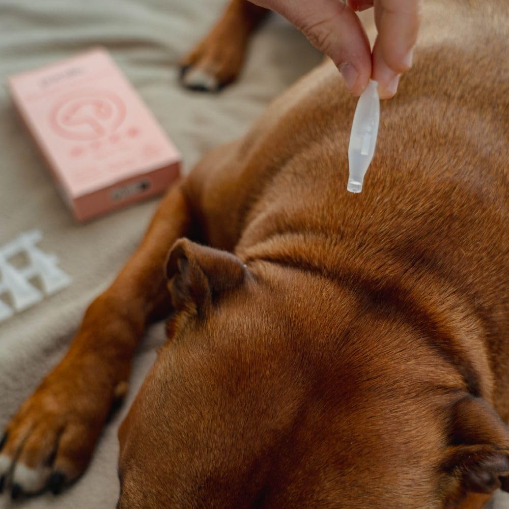 5 Pipettes Répulsives Spot-on de 1ml - pour Chiens, Chats et Petits Animaux - Anti Puces, Tiques, Moustiques - Margousier, Lavande et Citronnelle - Plus de 90% d'origine Naturelle
