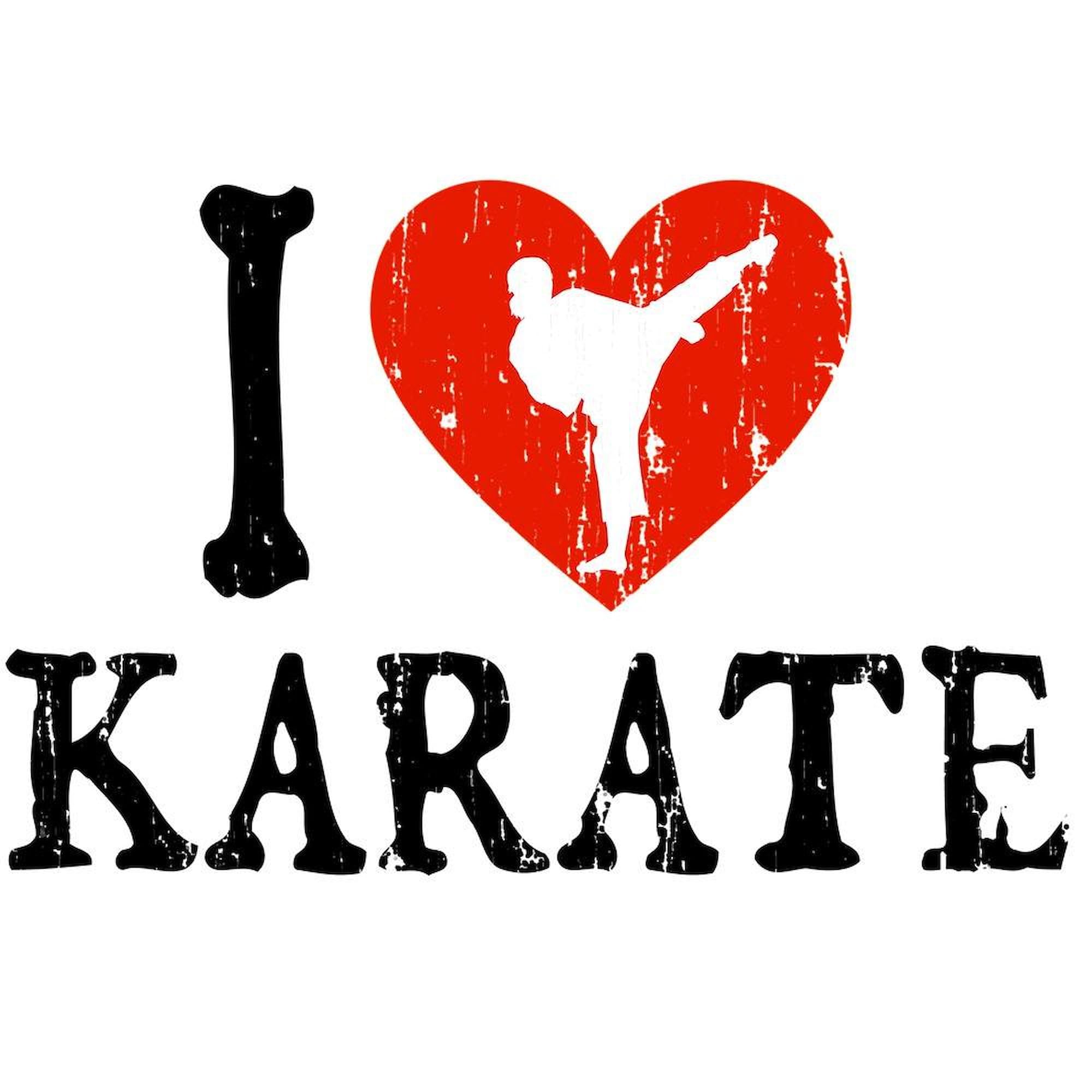 10 raisons de choisir le Karaté | École de Karaté Vergèze 10 raisons de choisir le Karaté | École de Karaté Vergèze