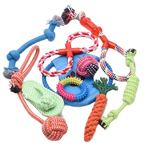 WOLFWILL Lot de 10pcs Jouet Chien Cordon de Tirage,Balle,Nud,Carotte, Frisbee,Tong Corde, Boucle TPR Jouet à Mâcher Lavable pour Petit et Moyen Chien