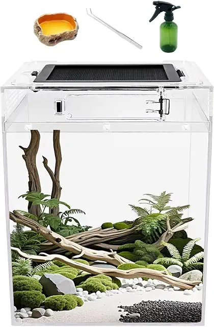 Plastic Terrarium Set with Top Screen Ventilation for Reptiles and Insects