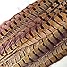 20pcs Male Pheasant Feather Natural Ringneck Tails Feathers 6-8inch 15-20cm for Crafts Home Wedding Party Performance DIY Decoration Pheasant Feather,Male Pheasant Feathers
