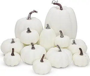 backpac
