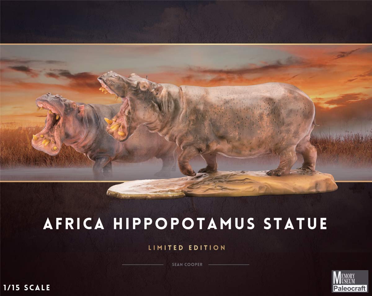 Amazon.com: WLNTDOLA 1:15 Scale Africa Hippopotamus Amphibius