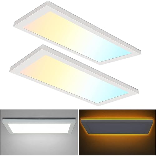 1x2 FT 3CCT LED Flat Panel Flush Mount Light with Night Light, 2500LM, 25W, 3000K/4000K/5000K Selectable, Dimmable Ultra Slim Edge-Lit Built-in Driver Surface Mount Ceiling Light for Kitchen, 2 Pack