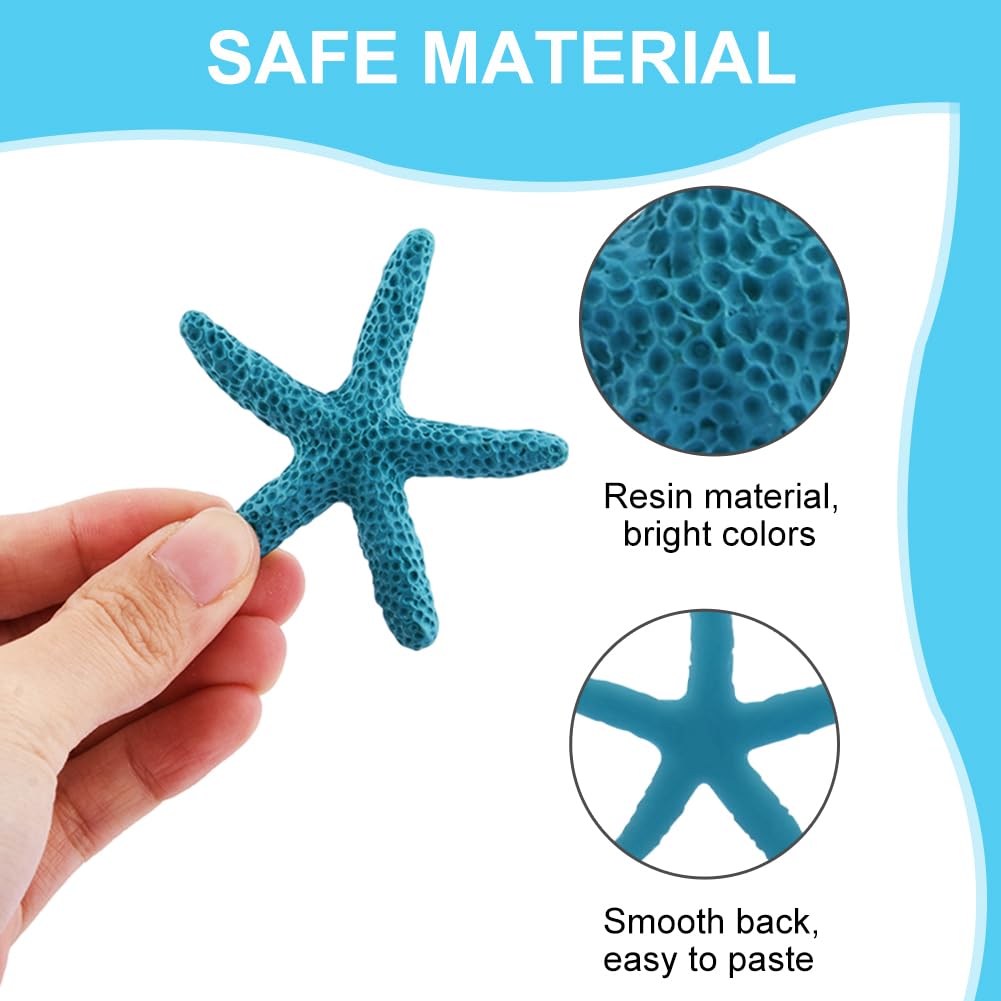 Set 12 Stelle Marine Naturali 5-15 Cm - Per Decorazioni Beach Party E DIY - Foto 9