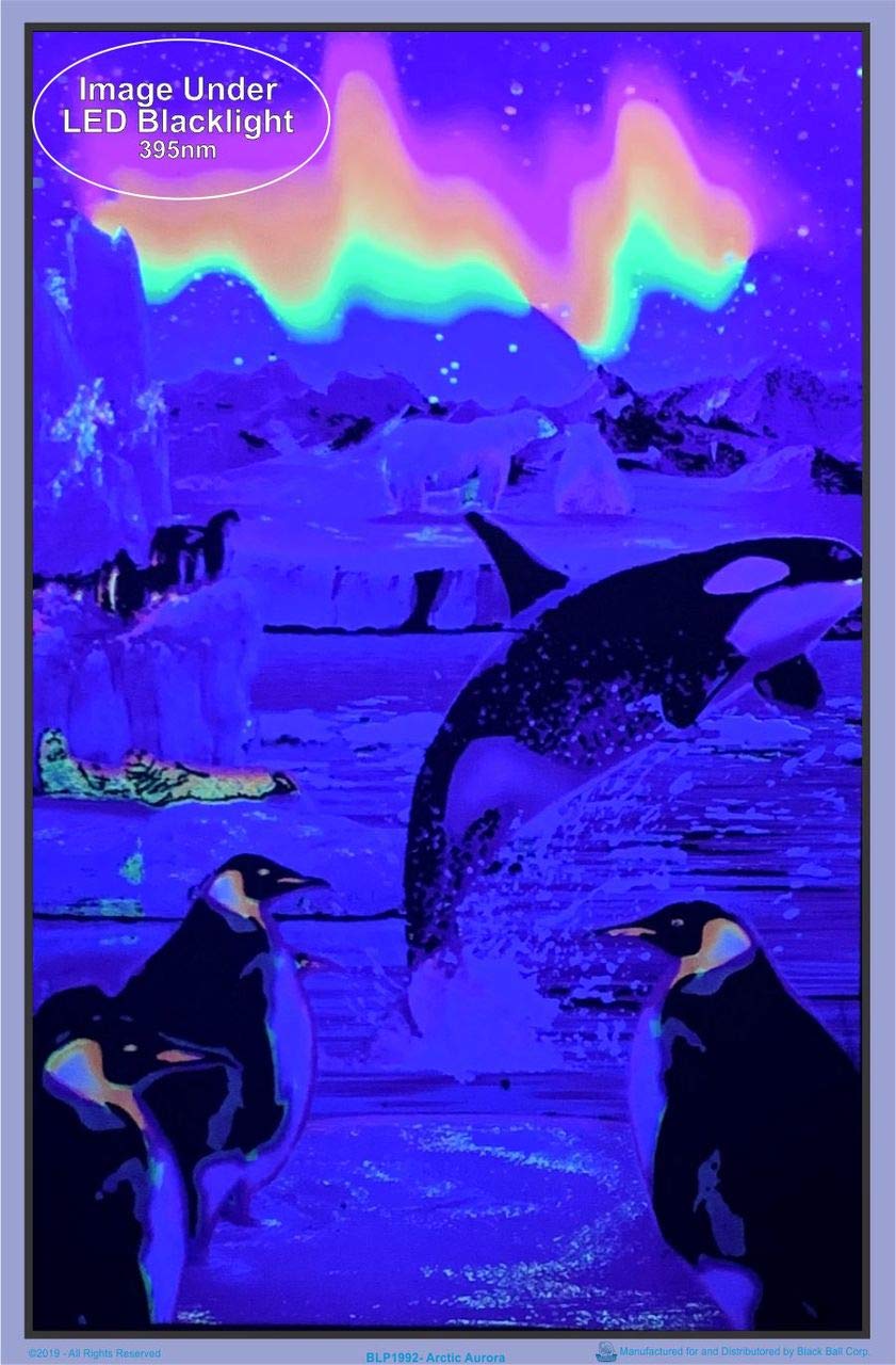 Amazon.com: Opticz Arctic Aurora Blacklight Reactive Poster