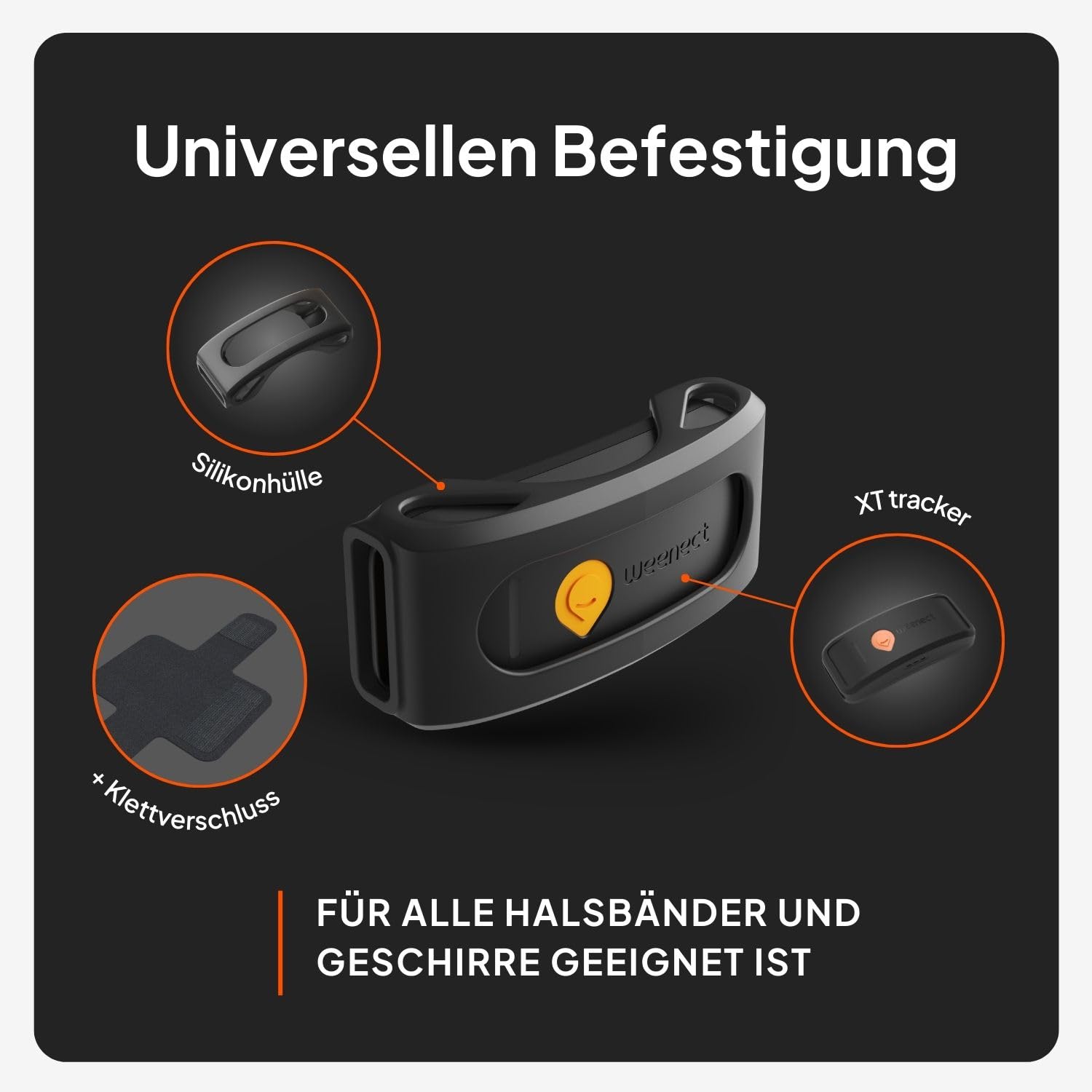 Weenect Hund XT - GPS-Tracker für Hunde Ohne Halsband | Wasserdicht | XL-Antenne | Unbegrenzte Reichweite Abonnement Erforderlich