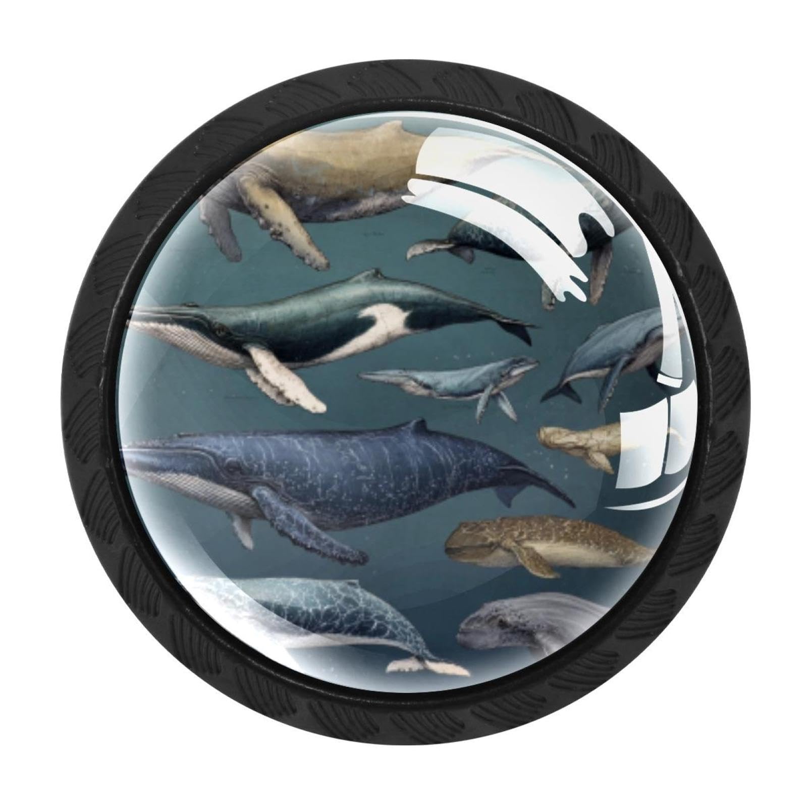 CHENZZZZ 4 pcs Marine Mammals with Whales (3) Drawer Knob Pull Handle Crystal Glass Cabinet Drawer Pulls with Screws for Home Office Cabinet Cupboard