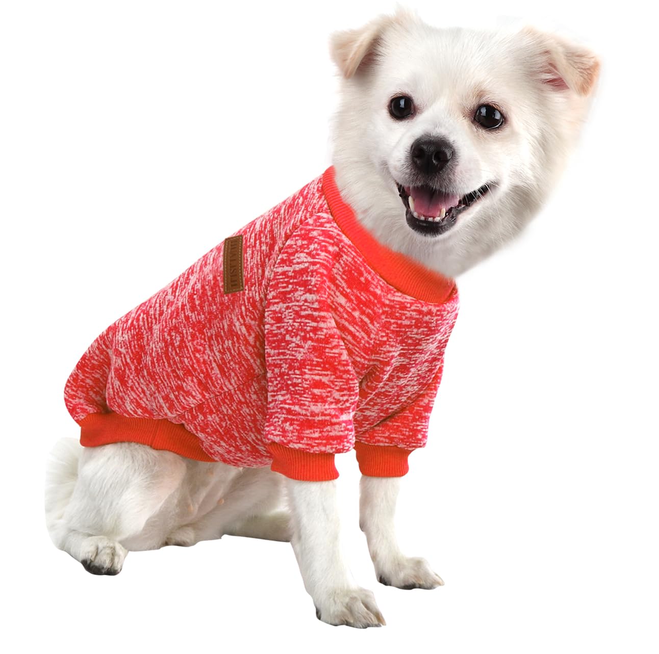Jersey Perro Pequeño Sudaderas para Perros Jersey Chihuahua Jersey Gato, Es un Tejido Bastante Cómodo, Suave y Cálido para el Animal y Fácil de Poner (Azul+Morado,M) — view 27