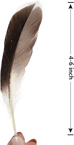 Miniatura 2 de THARAHT Plumas de pato, 120 unidades de 4-6 pulgadas a granel de 3.9-5.9 in a granel para manualidades, ropa hecha a mano, sombreros, hogar, boda,