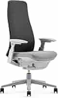 Amazon.com: Haworth Fern Office Chair – Ergonomic and