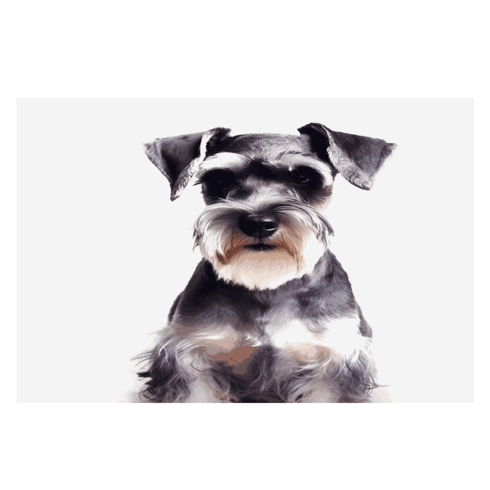 Well-Behaved Schnauzer Placemats Heat-Resistant Washable Place Mats Anti Slip Dining Table Place Mats Wipeable Dining Table Mats Kitchen Decoration Placemats 17.7’’×11.8’’
