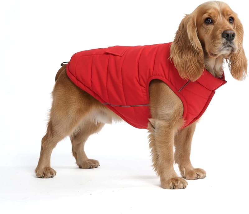 Casaco de Inverno para Cães Spark Paws com Forro de Fleece e Ajuste Regulável DW2210023