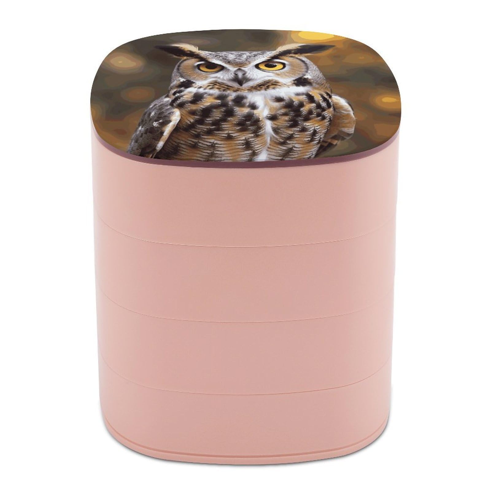 JTREHY Owl Birds Jewelry Box 4-Layer Covered Rotating Jewelry Storage Box Large Capacity Storage Boxes Portable Jewelry Case for Bracelets Earrings Necklace