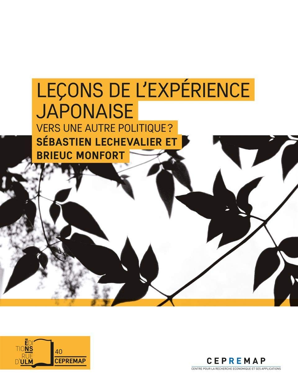 Amazon.co.jp: Leçons de l'expérience japonaise : 本