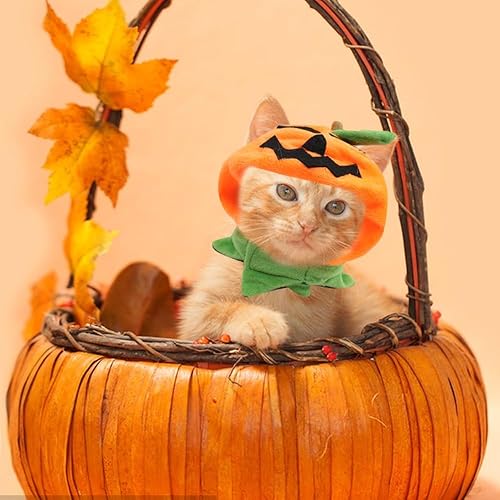 Miniatura 9 de Hying Capa de sombrero de calabaza de Halloween para perros y mascotas, grande y lindo juego de gorro de calabaza naranja para Halloween, cosplay,