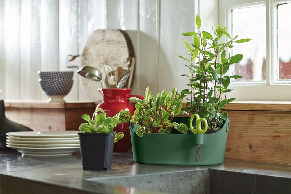 Vaso Erbe aromatiche cucina - Elho Brussels Herbs Station 30cm - Antracite