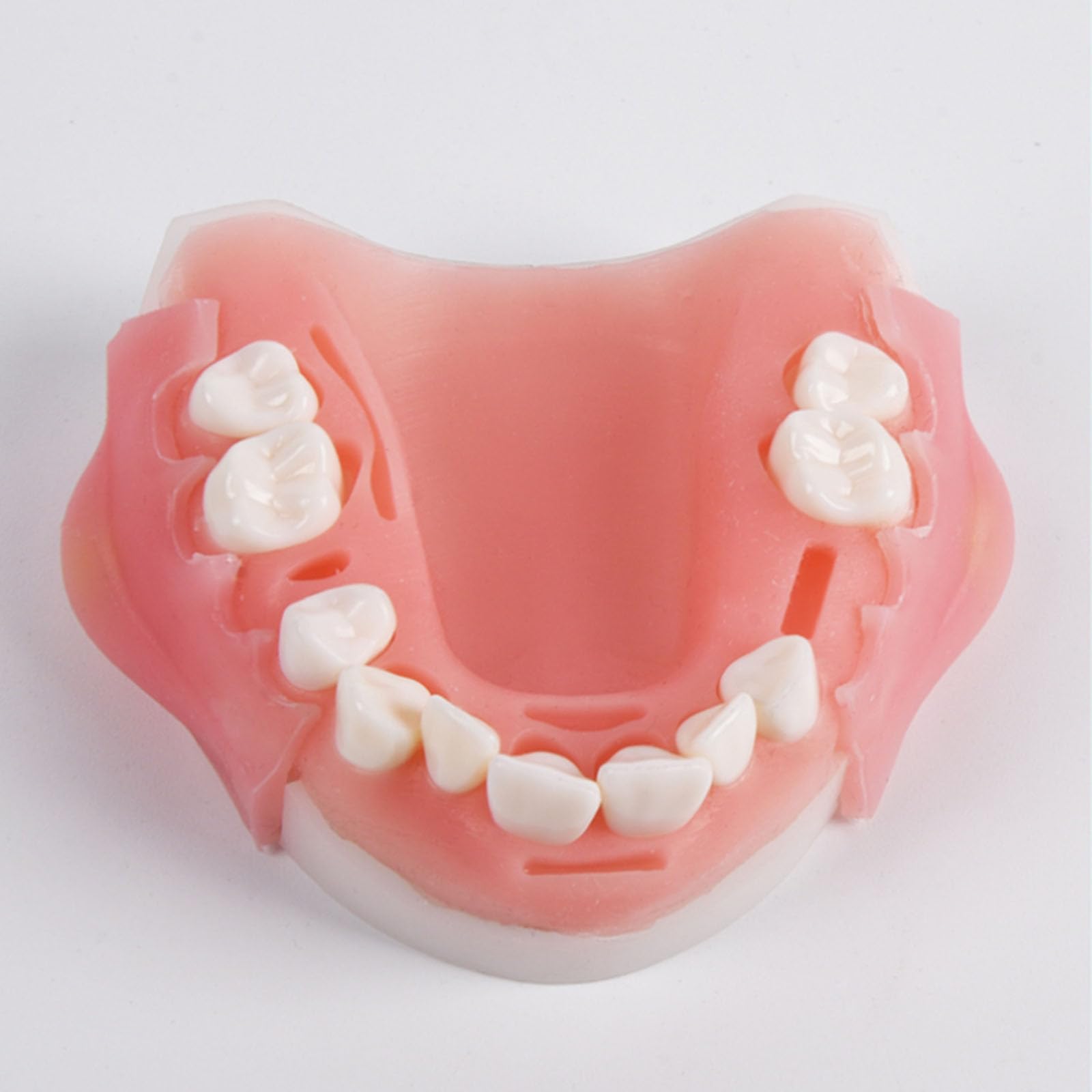Modello di Simulazione di addestramento Orale Dentale Modello di Simulazione parodontale Strumento di Formazione per competenze mediche,Upper jaw-8cm